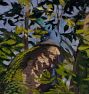 Peacock in the Woods by Abbot Handerson Thayer Framed Reproduction Wall Art Print
