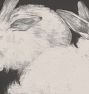 Two Angora Rabbits by Theo Van Hoytema Framed Reproduction Wall Art Print