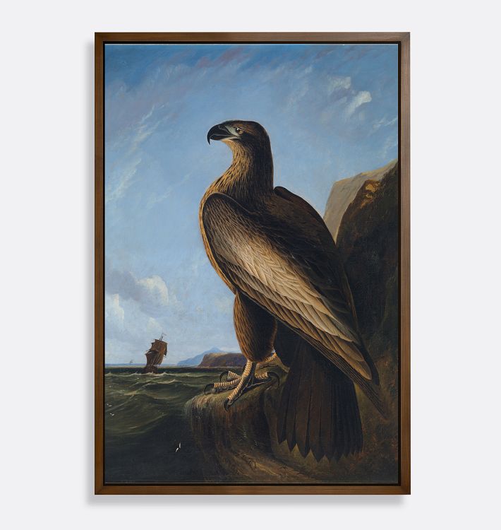 Washington Sea Eagle Framed Reproduction Wall Art Print, 17" x 25" - Walnut Finished Wood Float Frame