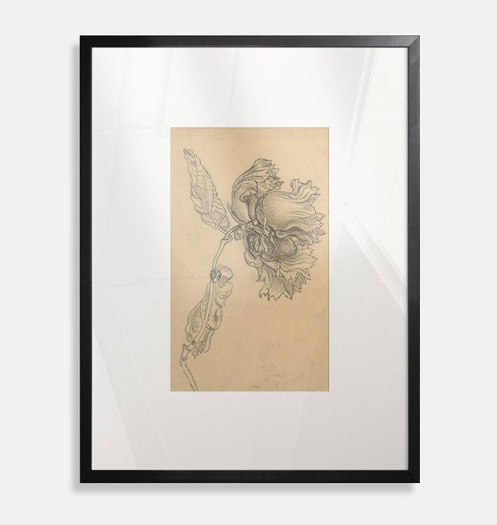 Study For Illustration Hazelnuts Framed Reproduction Wall Art Print, 12" x 16" - Black Finished Wood Frame with Acrylic Glaze