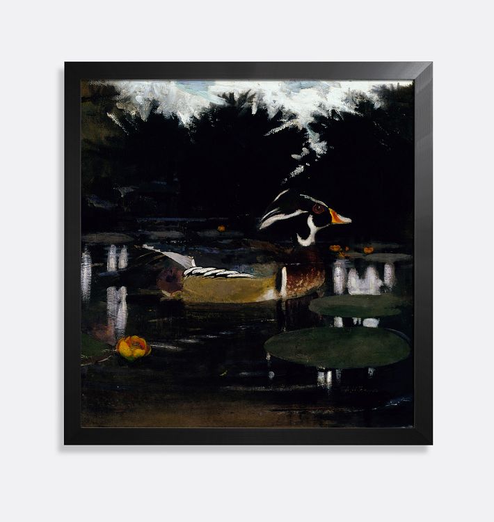 Male Wood Duck In A Forest Pool Framed Reproduction Wall Art Print, 10" x 10"