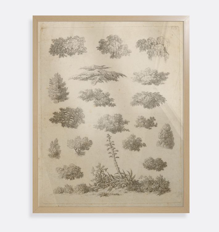 Foliage Studies Framed Reproduction Wall Art Print, 14" x 16" - Natural Wood Frame with Acrylic Glaze