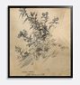 Nature Study Sketch Framed Reproduction Wall Art Print, 21" x 23" - Black Finished Wood Frame with Acrylic Glaze