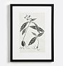Framed Black &amp; White Contrast Plant Block Print Wall Art