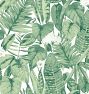 Tropical Peel &amp; Stick Tempaper Wallpaper
