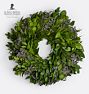 Live Ruscus Misty Wreath