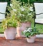 Antique Terracotta Planters