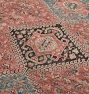 Francine Hand-Knotted Rug