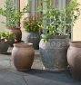 Magnolia Terracotta Planter
