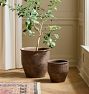 Antique Terracotta Planters