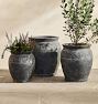 Magnolia Terracotta Planter