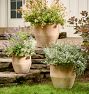 Antique Terracotta Planters