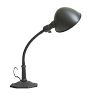 Vintage Industrial Steel Gooseneck Table Lamp
