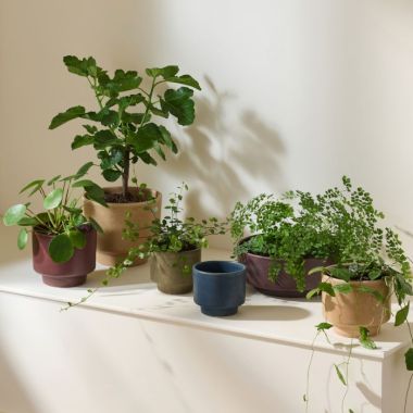 Planters &amp; Pots