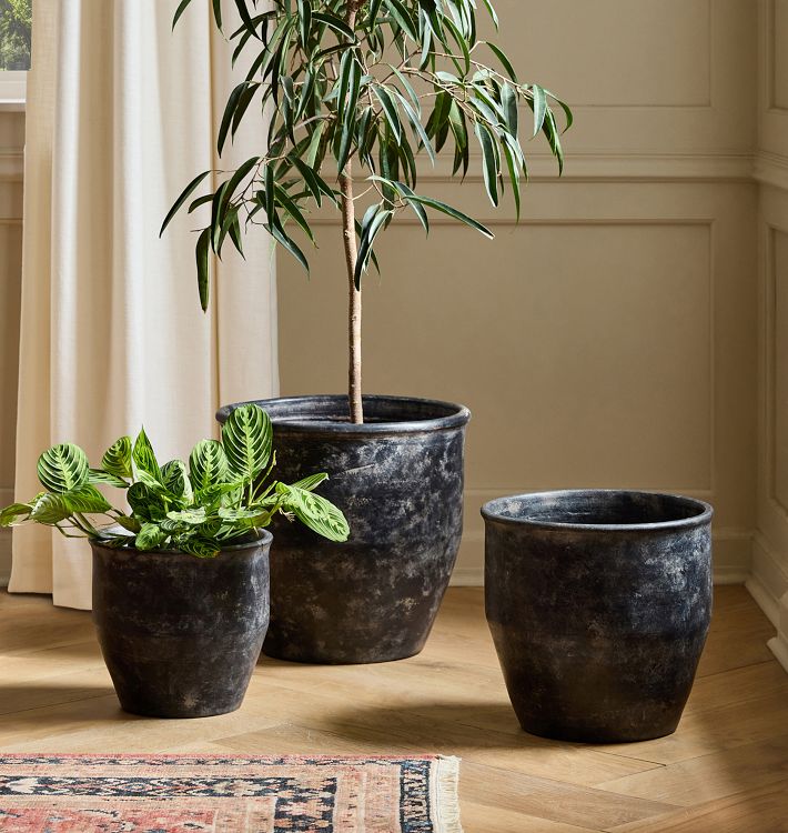 Antique Terracotta Planters