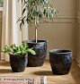Antique Terracotta Planters