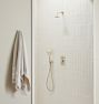 Callahan Pressure Balanced ADA Shower Set
