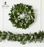 Live Ruscus &amp; Seeded Eucalyptus Garland and Wreath