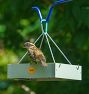 Hanging Platform Bird Feeder