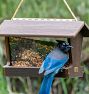 Hopper Bird Feeder