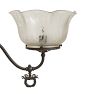 Detailed Vintage Victorian 2 Arm Chandelier with Brass Highlights and Etched Glass Shades