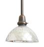 Rose City Pendant with Vintage Clear Glass Shade