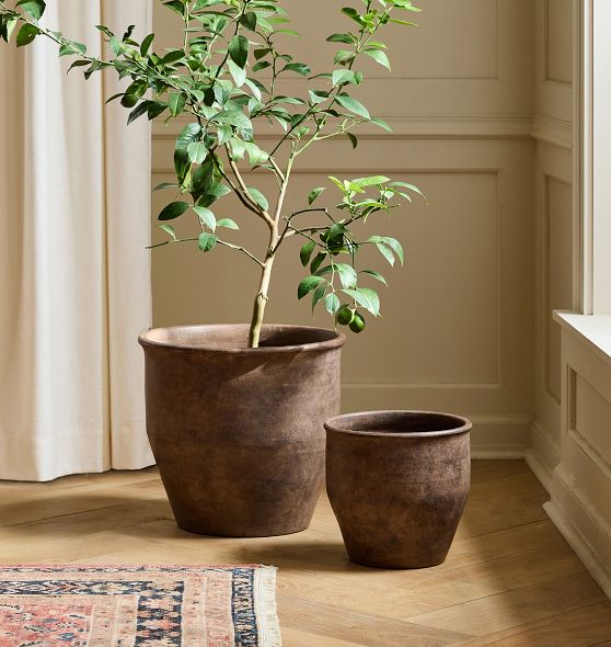 Antique Terracotta Planters | Rejuvenation