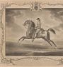 Race Horse With Jockey I Framed Reproduction Wall Art Print