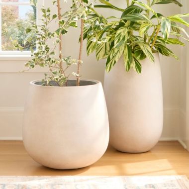 Planters &amp; Pots