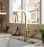 Davoli Pull Down Faucet