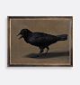 The Caw Framed Reproduction Wall Art Print 19"x15" by Unknown Artist