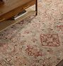 Socorro Hand-Knotted Rug