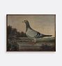 Pigeon Framed Reproduction Wall Art Print, 11" x 9" - Walnut Finished Wood Float Frame