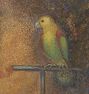 Parrot Framed Reproduction Wall Art Print