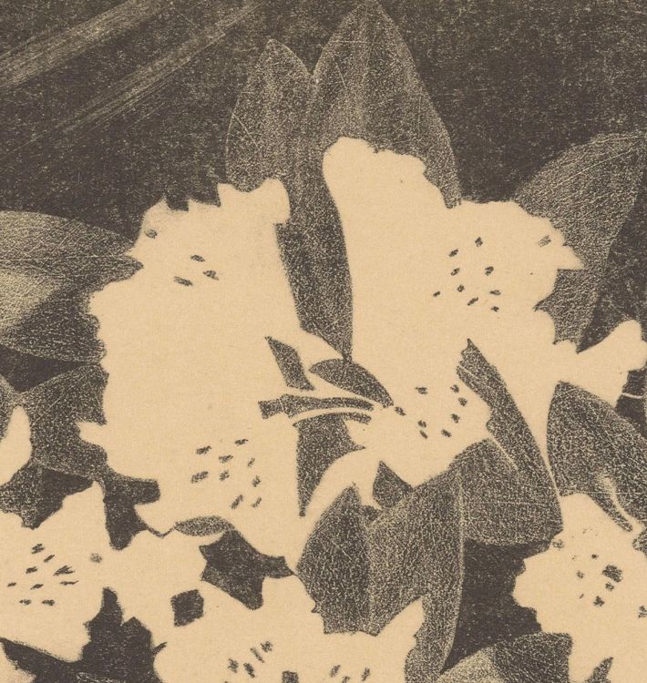 Rhododendron by Samuel Jessurun De Mesquita Framed Reproduction