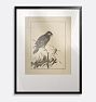 Raven Framed Reproduction Wall Art Print, 22" x 29" - Black Finished Wood Frame with Acrylic Glaze