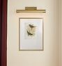 Birds by Sinclair Framed Reproduction Wall Art Print
