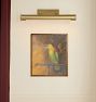 Parrot Framed Reproduction Wall Art Print