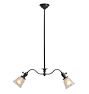 Vintage Victorian Chandelier Simple 2 Arm Electric