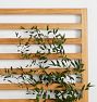 Jasper Teak Wall Mounted Trellis