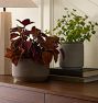 Hansen Indoor Planter