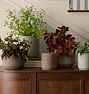 Hansen Indoor Planter