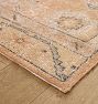 Rosina Indoor/Outdoor Hand-Knotted Rug