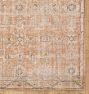 Rosina Indoor/Outdoor Hand-Knotted Rug