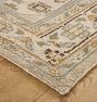 Como Indoor/Outdoor Hand-Knotted Rug