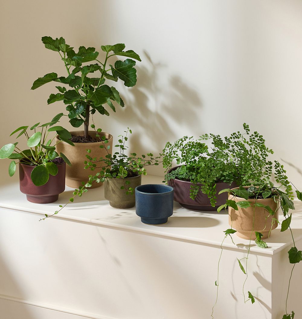 Ava Ceramic Planters by Rejuvenation
