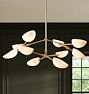 Argus Double Tier Chandelier, 44" Width