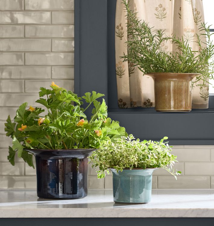 Ayana Glazed Ceramic Planters |