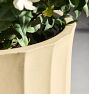 Liza Ficonstone Planters