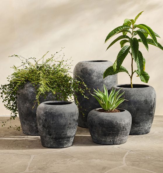 Lyre Terracotta Planters | Rejuvenation